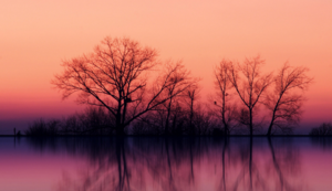 江苏男篮遭遇四连败，连续落后赛季——困境与涅槃的边缘